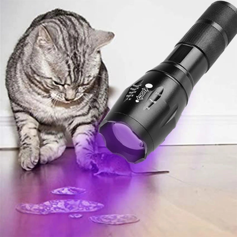 Lampe UV IWP double spectre